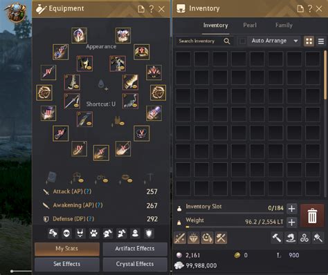 bdo newbie inventory